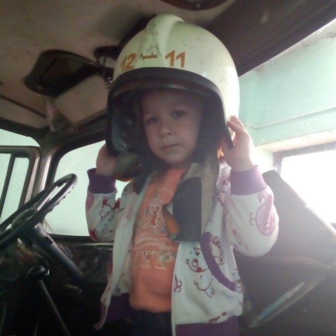 Дмитрий Воеводский